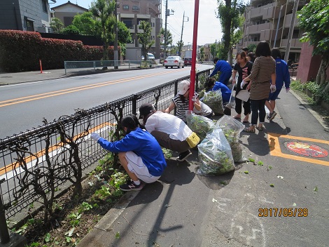 clean-up activity